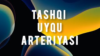 mediatorsteam Tashqi uyqu arteriyasi acarotis externa [upl. by Kolivas]