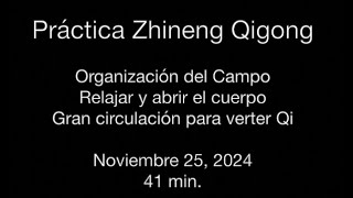 Práctica de Zhineng Qigong de Noviembre 25 2024 [upl. by Warner]