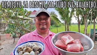 Remedyo sa pangit na tubo ng balahibo ng alagang manok na nag lulugon [upl. by Adolpho294]