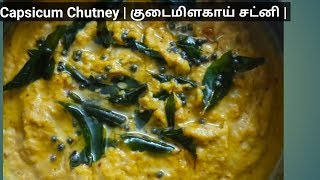 Capsicum Chutney  குடைமிளகாய் சட்னி  Green capsicum Chutney Recipe [upl. by Teria]