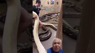 Veja esse vídeo e conheça a história do deus Esculápio 🐍😮 [upl. by Michaella880]