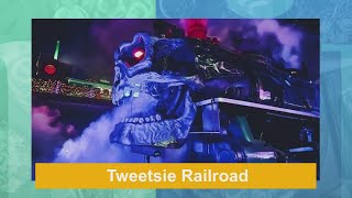 Spooky fun on the Tweetsie Railroad Ghost Train [upl. by Sinnod]