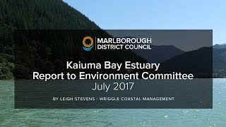 Kaiuma Bay Estuary Report to Environment Committee July 2017 [upl. by Nnylkoorb]