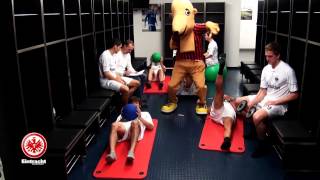 harlem shake mit adlerpower [upl. by Philippine414]