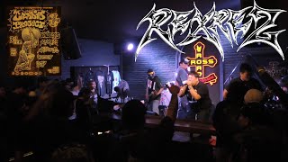 REXREZ  LIVE at Cardio Project 02 20240203 Chiangmai [upl. by Merilyn]