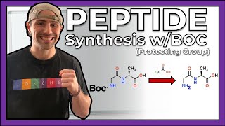 Peptide Synthesis with the Boc Protecting Group [upl. by Stratton]