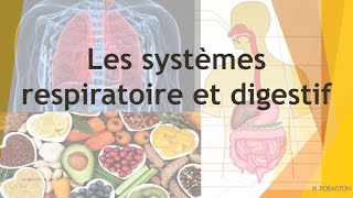 Les systèmes respiratoire et digestif [upl. by Romo270]