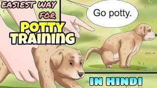 How to easily potty train a puppy in Hindi  Potty training a puppy [upl. by Llednav]