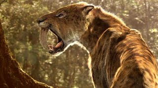 Smilodon  The SaberToothed Predator [upl. by Hendon524]