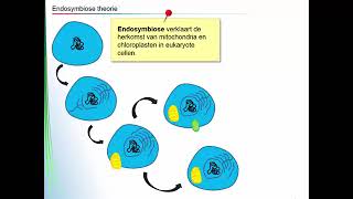 Endosymbiose theorie [upl. by Gnouhp292]