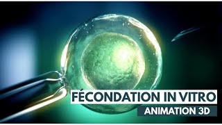 Fécondation In Vitro FIV  ICSI  Animation 3D [upl. by Giliana]