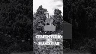 Cementerio de Mascotas colombia cundinamarca cementerio cementeriodemascotas [upl. by Vasiliu872]