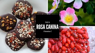 Goji NO GRAZIE Bacche di Rosa Canina Vitamina C ricette in cucina 🌸 [upl. by Llehctim783]