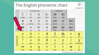 English Phonemic Chart [upl. by Stevenson256]