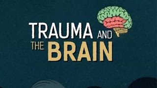 Trauma and the Brain [upl. by Nodlew945]