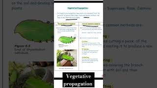 Vegetative propagation  Reproduction  class 10 th science biology mp board 202425 shorts 1 Min [upl. by Izogn758]