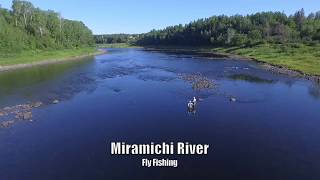 Miramichi River Fly Fishing [upl. by Ahtibat]