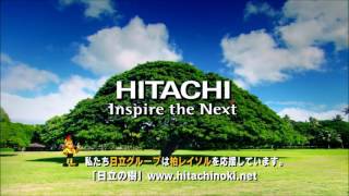 HITACHI 日立の樹「樹と光」 [upl. by Faletti]