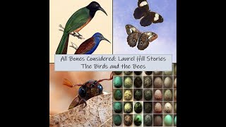 All Bones Considered Laurel Hill Stories  The Birds and the Bees Ornithologists and Entomologists [upl. by Sewellyn382]