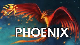 Phoenix  Mystic Bird of Renewal [upl. by Hare530]