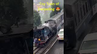 UP CLOSE Darjeeling Toy Train INDIAN RAILWAYS 🇮🇳 Himalayan Railway [upl. by Smart]