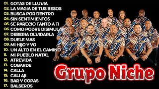 Grupo Niche Mix  Las Mejores Canciones De Grupo Niche  Grupo Niche Exitos Sus Mejores Canciones [upl. by Poul]