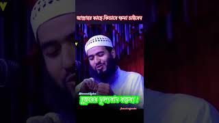 আল্লাহর কাছে কিভাবে ক্ষমা চাইবেন।jamsedmojumdar waz viralvideo shorts [upl. by Daniels]