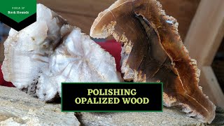 Polishing Opalized Wood [upl. by Ahseirej]