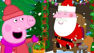 Peppa Meets Santa Claus 🎅🏽  Peppa Pig Official Full Episodes [upl. by Charmain]