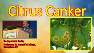 Citrus canker Xanthomonas oxonopodis by Dr Jayarama Reddy [upl. by Aurora]