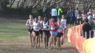 France de Cross 2013  Séniors Hommes [upl. by Adnala]