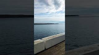 A Beautiful Morning for Fishing at Tathra Wharf takemefishing fishingaustralia fishing [upl. by Eniger]