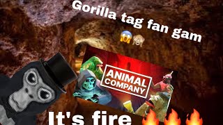 New vr game animal company 🔥🔥 [upl. by Allenod54]