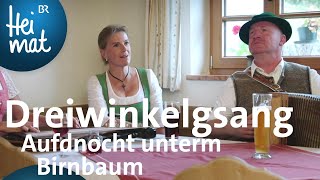 Dreiwinkelgsang  Aufdnocht unterm Birnbaum  Zsammgspuit im Inntal  BR Heimat [upl. by Thia]