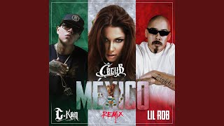 Mexico Remix [upl. by Ecnerwal]