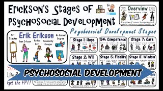 Erik Erikson Stages of Psychosocial Development Theory [upl. by Laurette183]