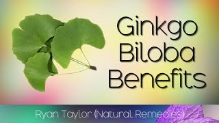 Ginkgo Biloba Benefits for Health [upl. by Sivat]