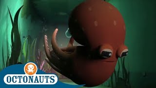 Octonauts  Lair of the Octopus  Triple Special  Cartoons for Kids [upl. by Oinigih768]