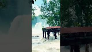 Thiruparappu Waterfalls Kanyakumari waterfall nature tamilnadu travelgram travel trending yt [upl. by Sabu998]