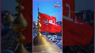 4k Full Hd Muharram Status 2024  MSK  Muharram Special Status 2024  muharramstatus short yaali [upl. by Mroz939]