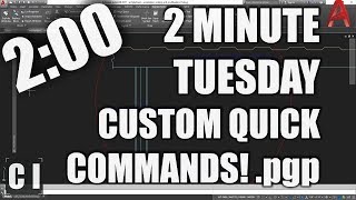 AutoCAD  How to Change Command Shortcuts pgp  2 Minute Tuesday [upl. by Renaud]