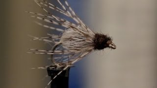 Caddis Emerger [upl. by Sianna459]