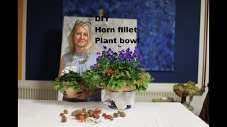 diezürcherin Horn fillet Plant bowl decoration for outside diy floristry floraldesign english [upl. by Oiluarb]