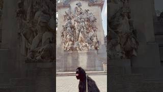 Dog admiring art [upl. by Admana]