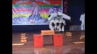 WORLDS BEST KARATE DEMONSTRATION [upl. by Jaf]