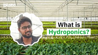 What is hydroponics  Hydroponic farming explained [upl. by Quinn]