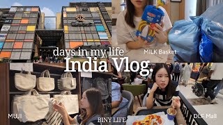 SUBIndia Vlog🇮🇳Essential app for living in IndiaMilk BasketDLF Mall shopping listKorean in India [upl. by Lacey346]