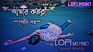 আমায় কইরা গেলি পর  Amay Koira Geli Por  Slowed Music  Slowed Reverb Lofi Music  Lofi Point [upl. by Irot566]