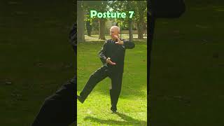 La forme de la Terre 7è posture nature martialarts taichichuan [upl. by Marigolde]