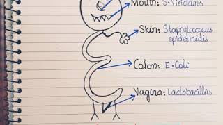 Normal microbial Floraeasy way to remember normal Flora [upl. by Enomes]